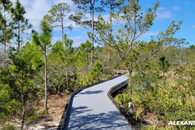 3 Tempat Terindah di Gulf Shores Alabama