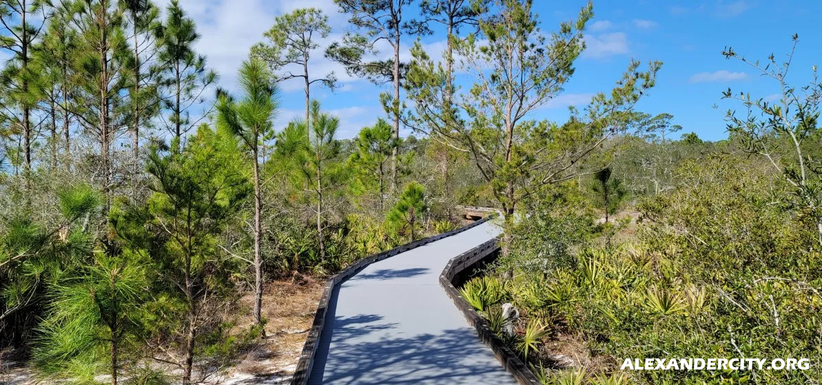 3 Tempat Terindah di Gulf Shores Alabama