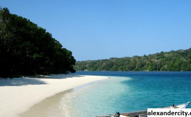 Tempat Teratas untuk Mendayung di Pantai Teluk Alabama